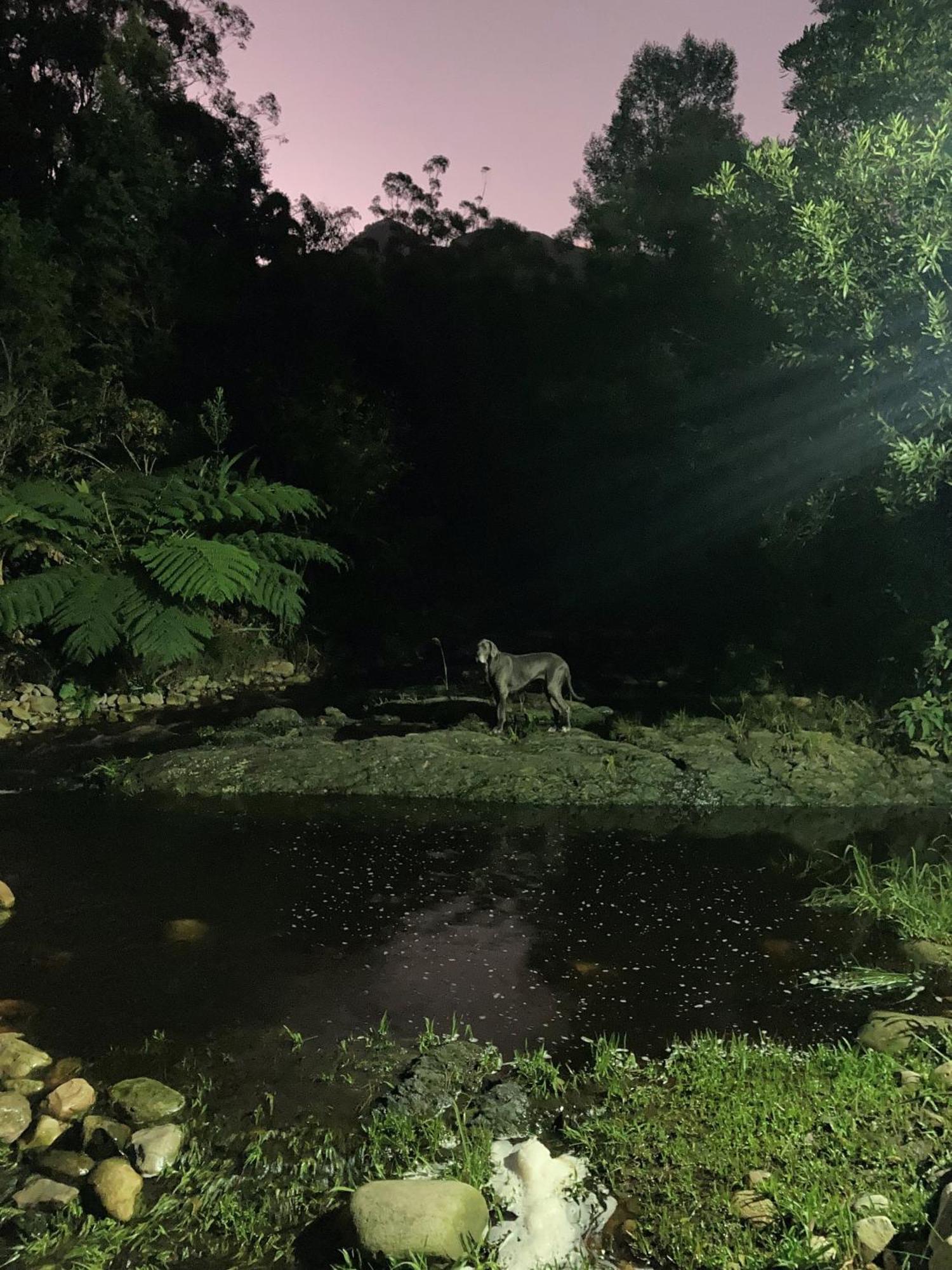 A Riverbed Guesthouse Swellendam Eksteriør billede