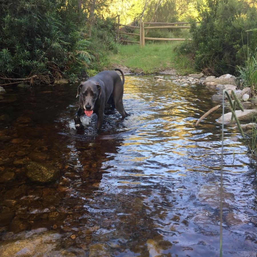 A Riverbed Guesthouse Swellendam Eksteriør billede
